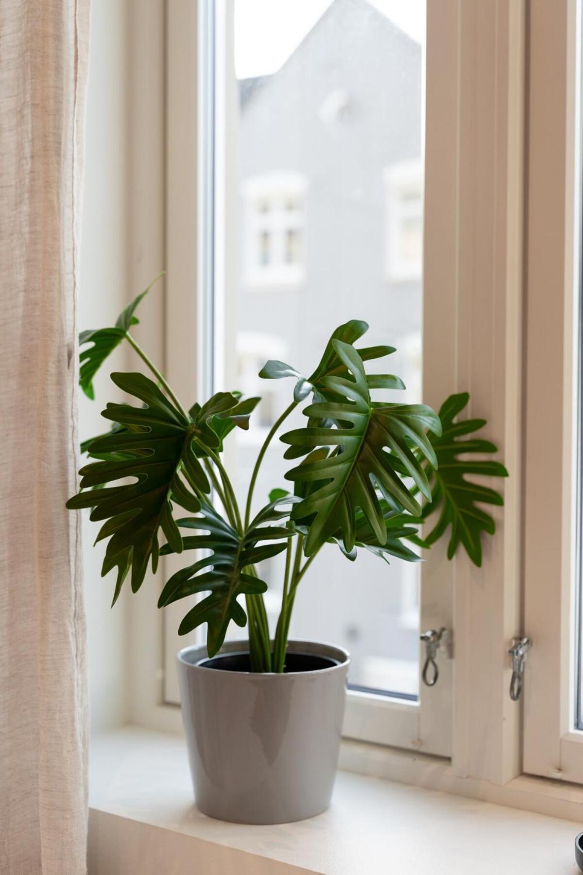 Renovated 3 In Historical Sandviken Bergen